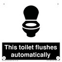 this-toilet-flushes-automatically~